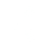 Page Title icon
